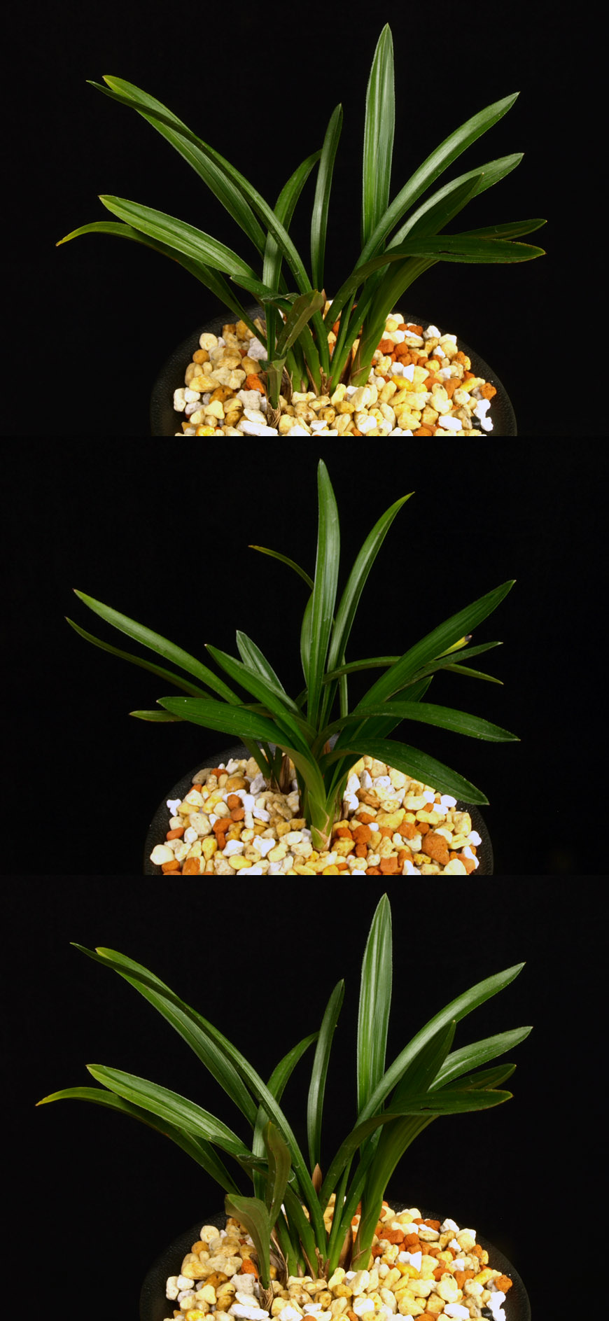 ������ ū������ �� �� �ֽ��ϴ�.