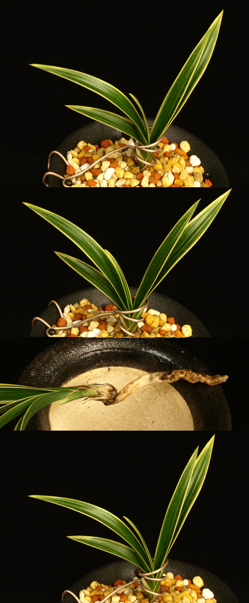 ������ ū������ �� �� �ֽ��ϴ�.