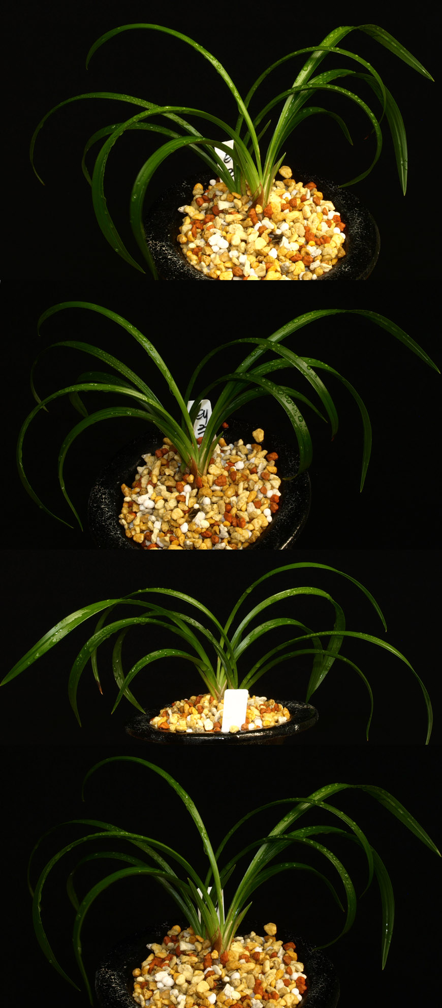 ������ ū������ �� �� �ֽ��ϴ�.