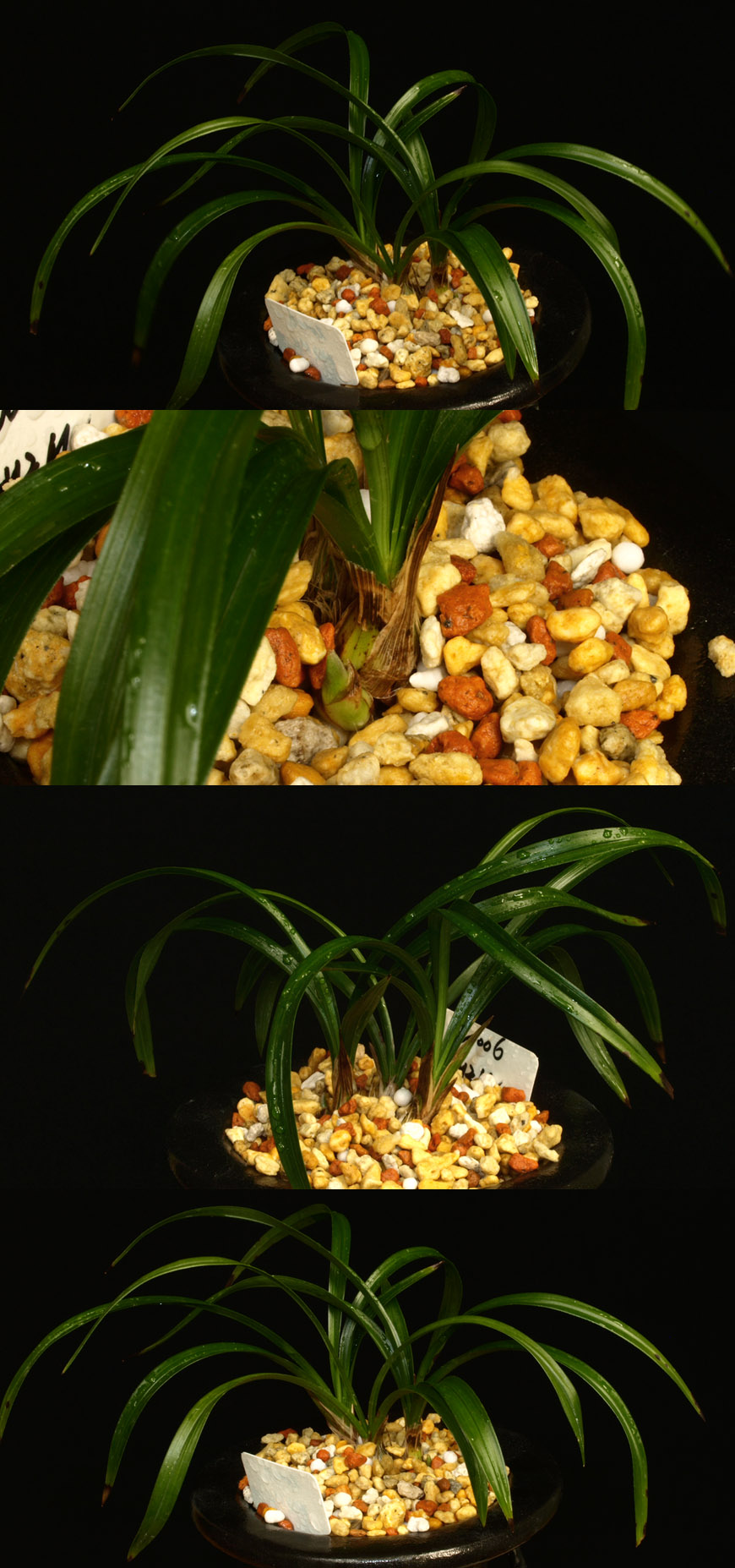 ������ ū������ �� �� �ֽ��ϴ�.