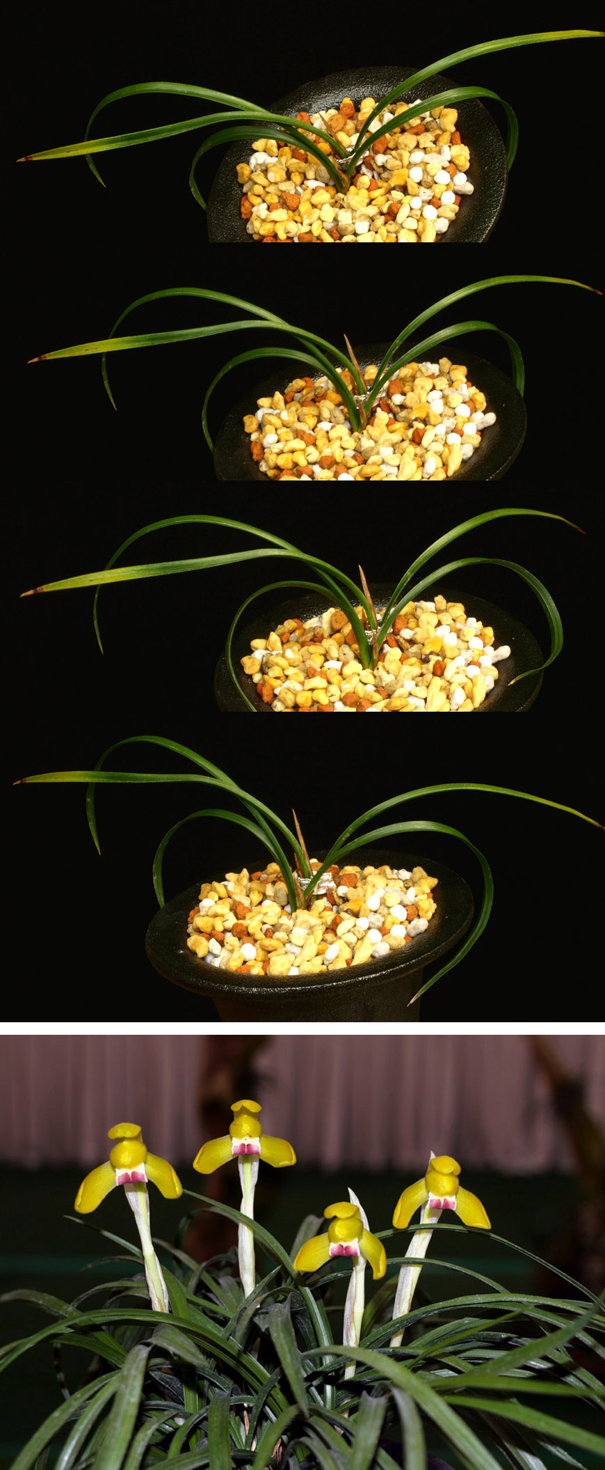 ������ ū������ �� �� �ֽ��ϴ�.