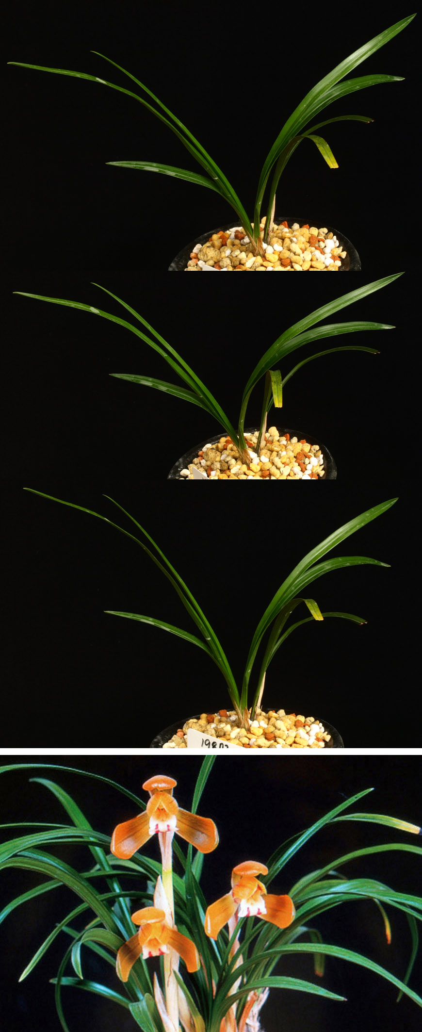 ������ ū������ �� �� �ֽ��ϴ�.