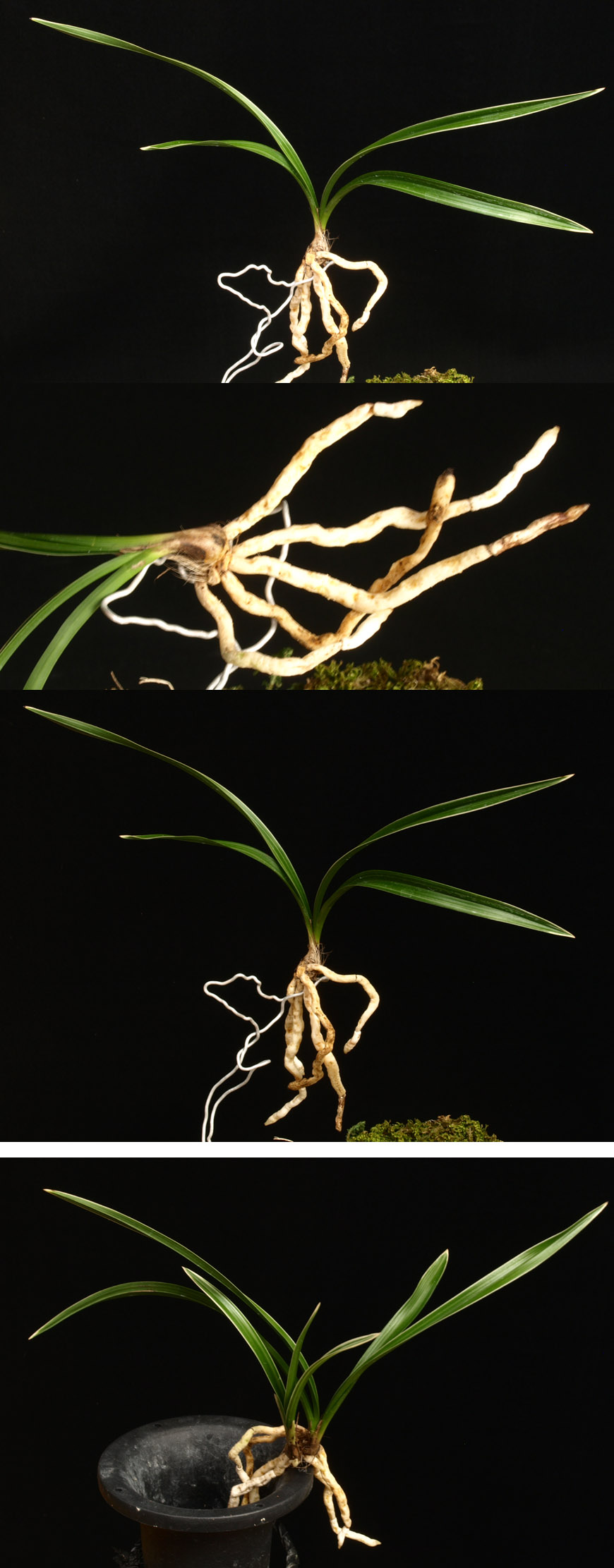 ������ ū������ �� �� �ֽ��ϴ�.