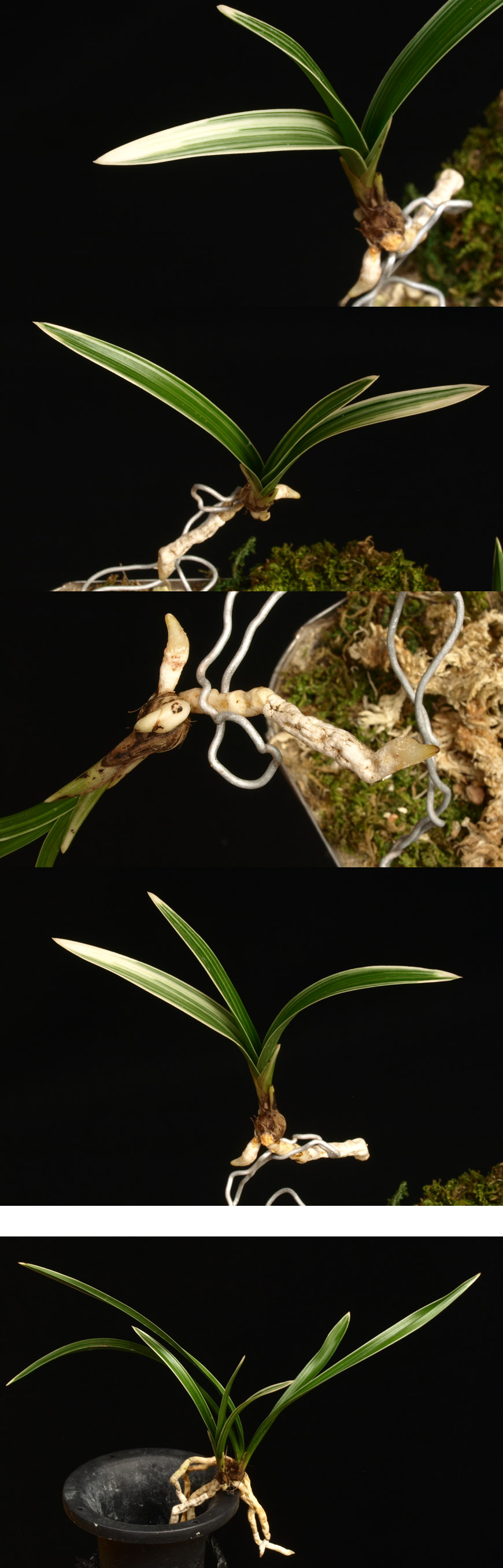 ������ ū������ �� �� �ֽ��ϴ�.