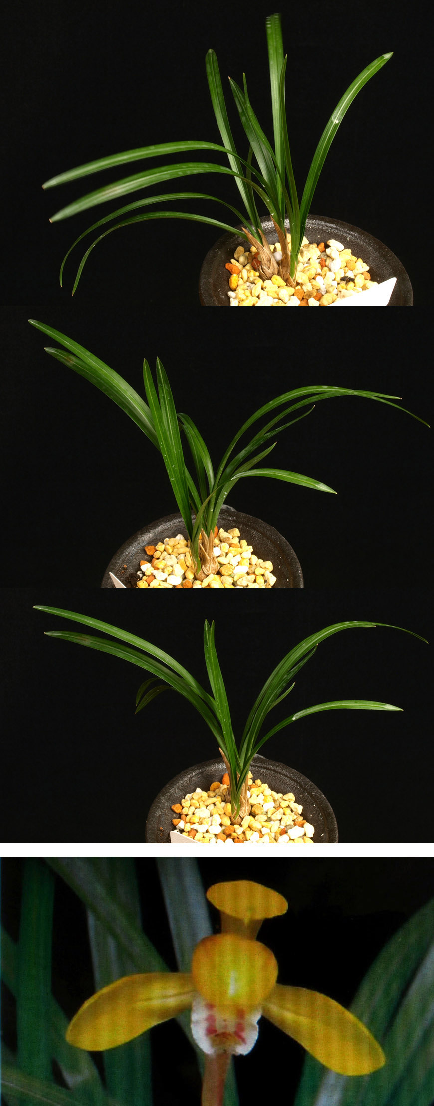 ������ ū������ �� �� �ֽ��ϴ�.