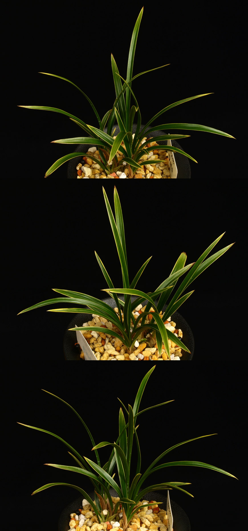 ������ ū������ �� �� �ֽ��ϴ�.