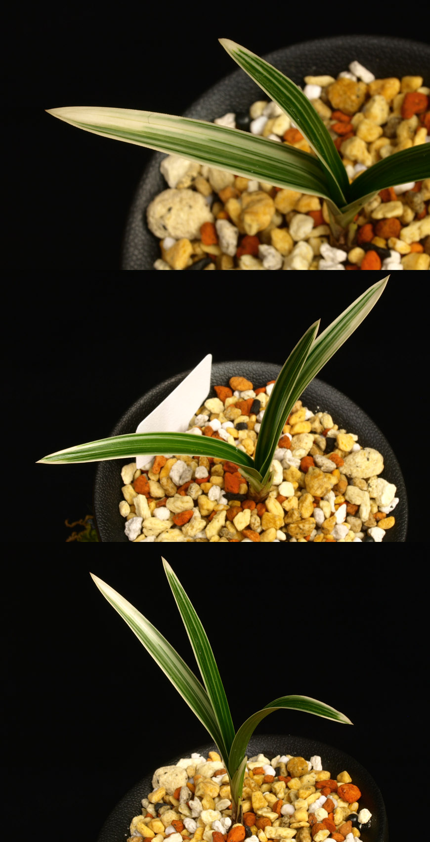 ������ ū������ �� �� �ֽ��ϴ�.