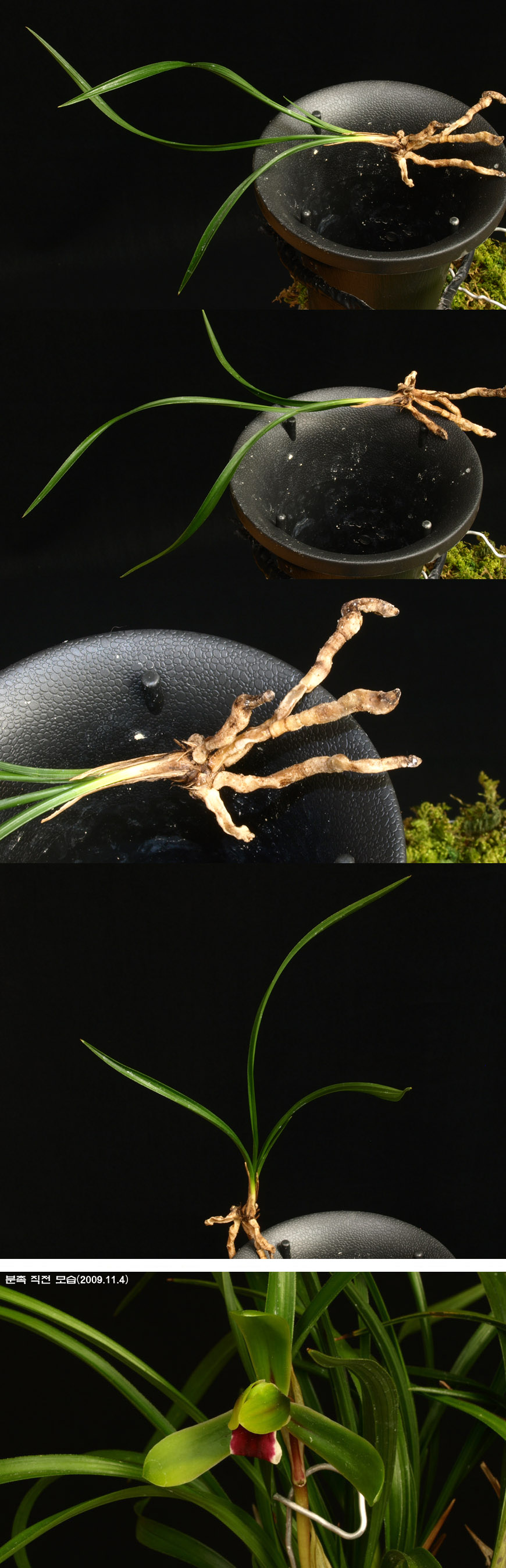 ������ ū������ �� �� �ֽ��ϴ�.