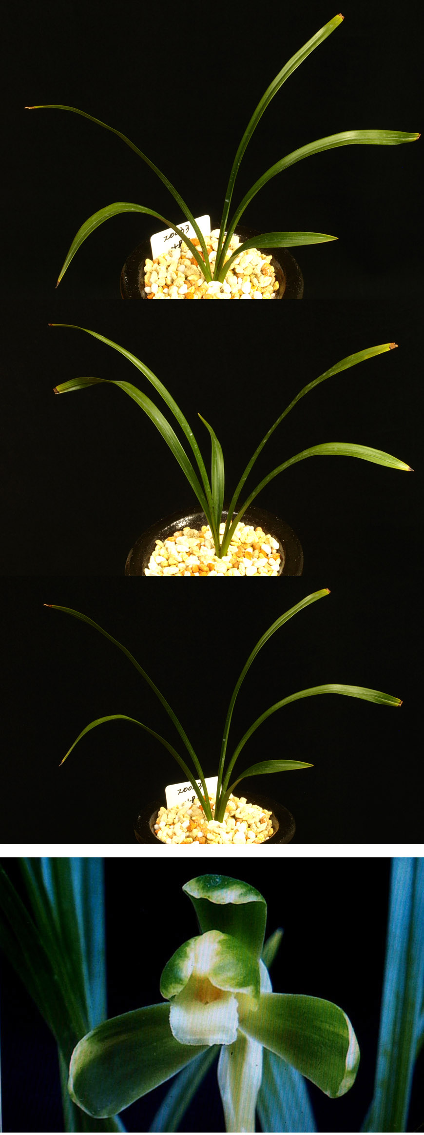 ������ ū������ �� �� �ֽ��ϴ�.