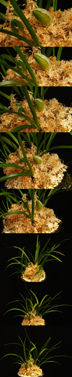 ������ ū������ �� �� �ֽ��ϴ�.