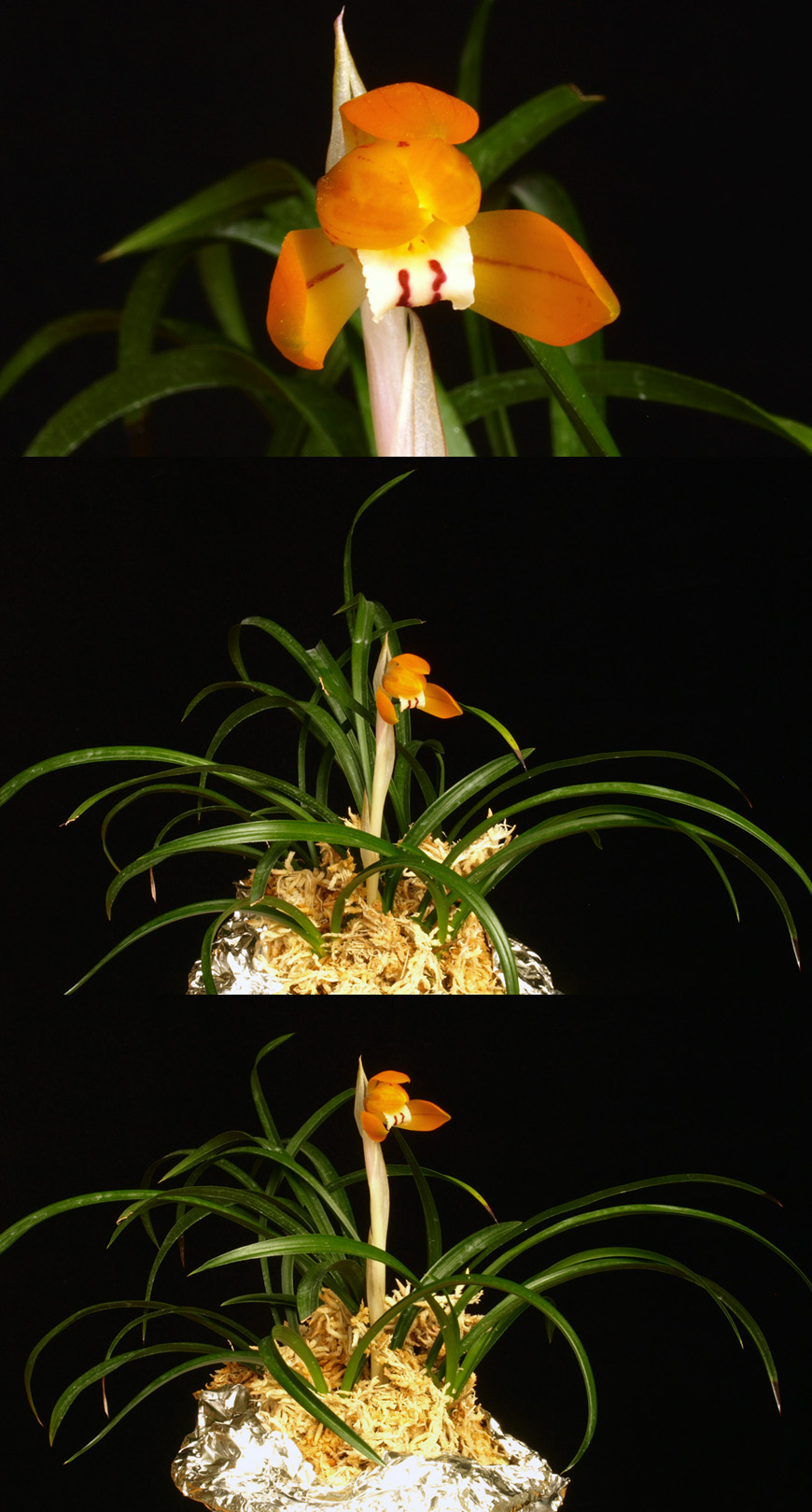 ������ ū������ �� �� �ֽ��ϴ�.