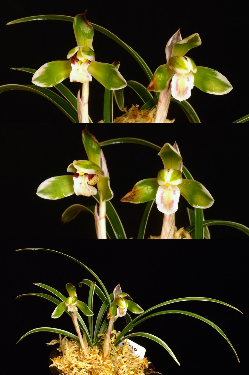 ������ ū������ �� �� �ֽ��ϴ�.