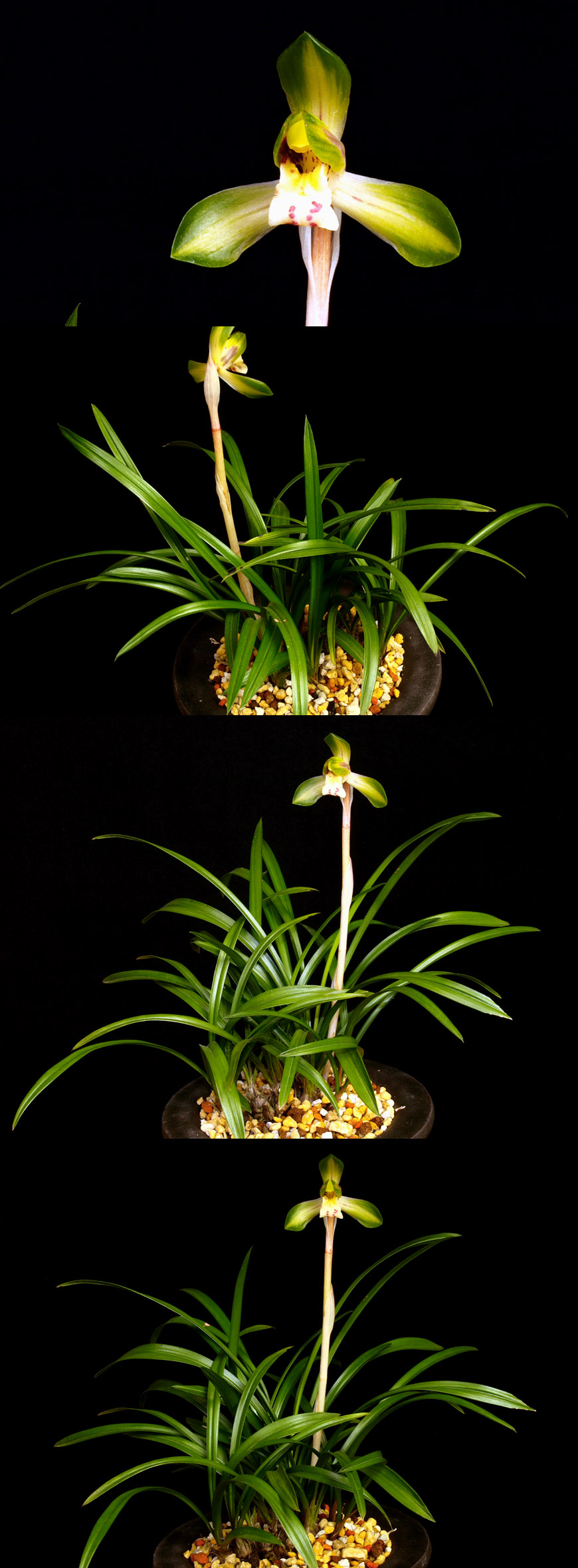 ������ ū������ �� �� �ֽ��ϴ�.