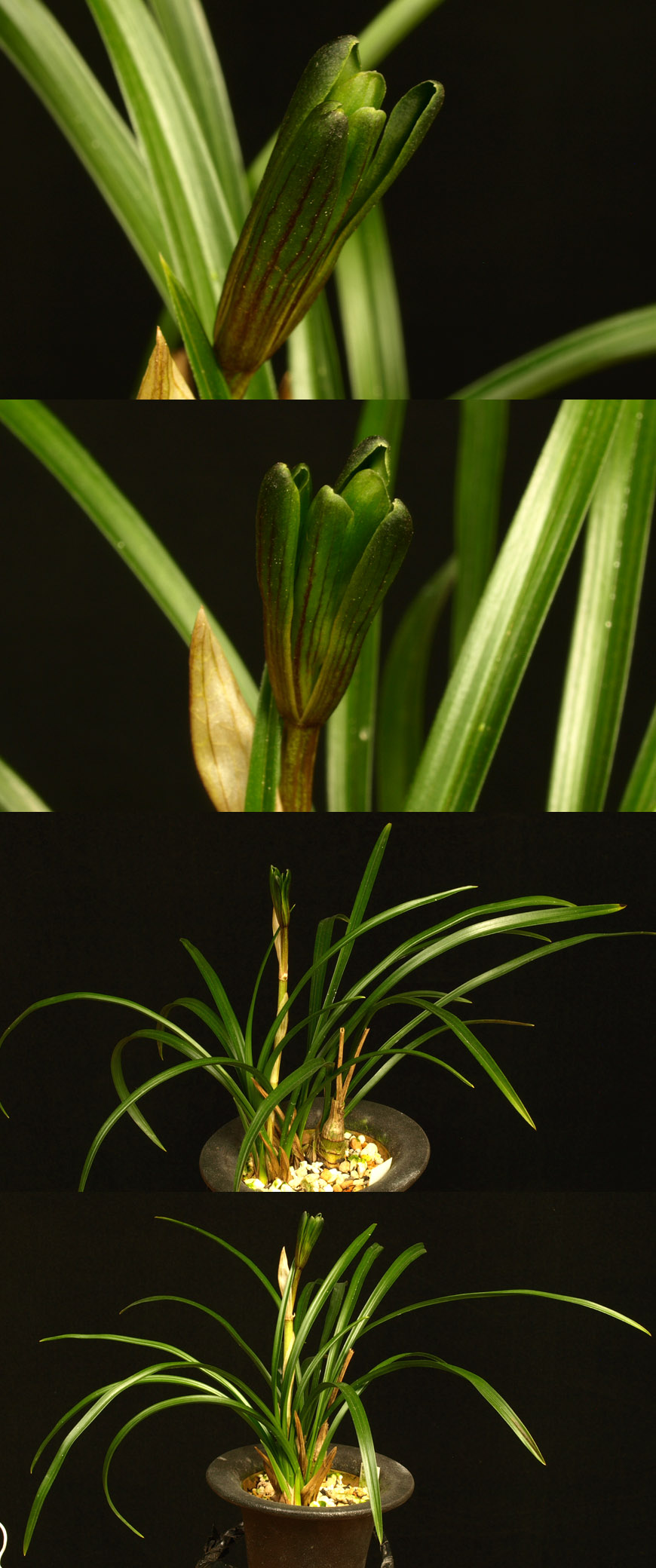 ������ ū������ �� �� �ֽ��ϴ�.