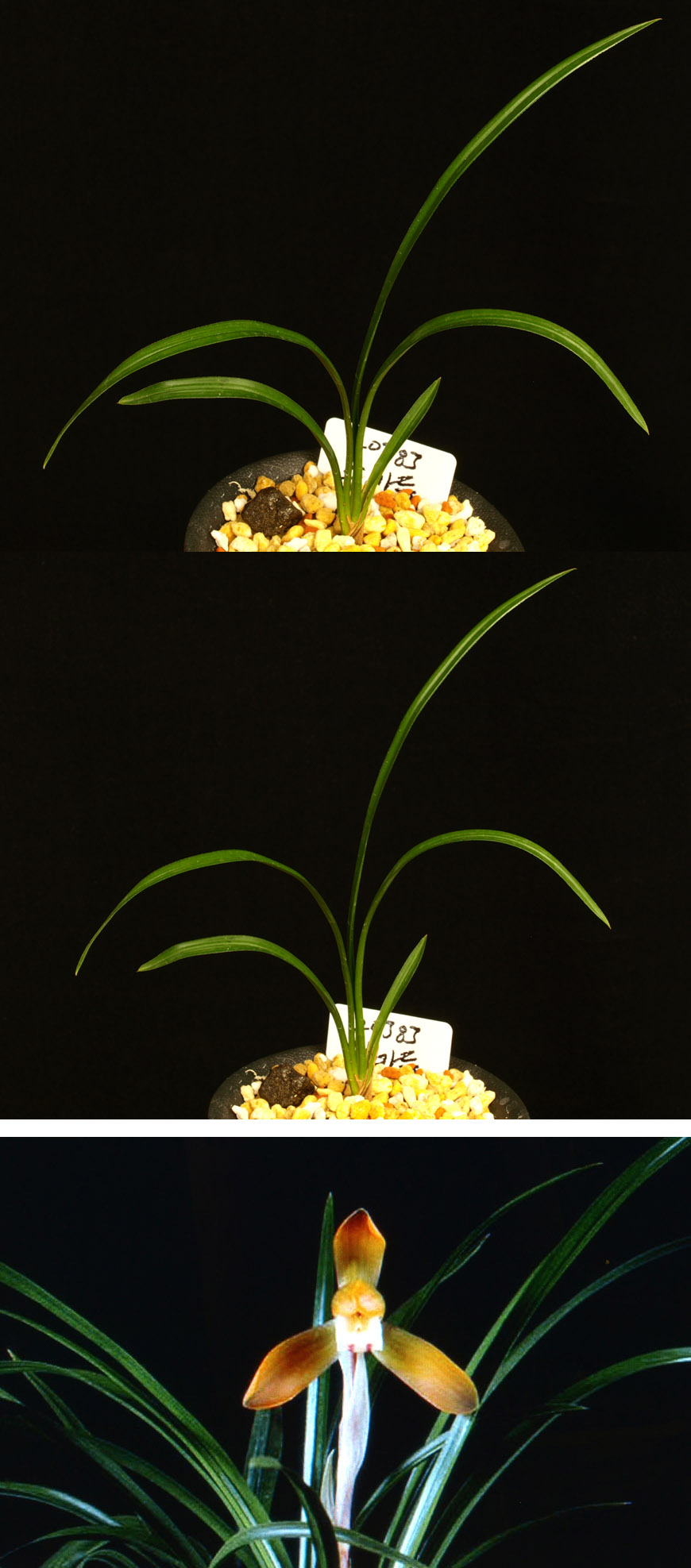 ������ ū������ �� �� �ֽ��ϴ�.