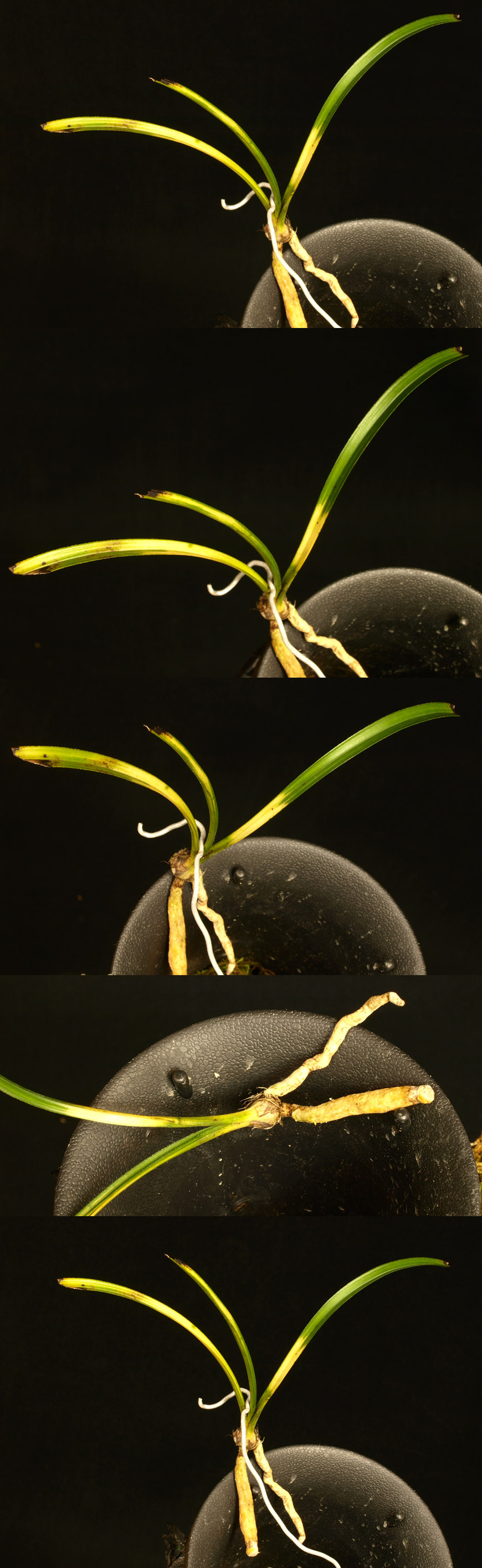 ������ ū������ �� �� �ֽ��ϴ�.