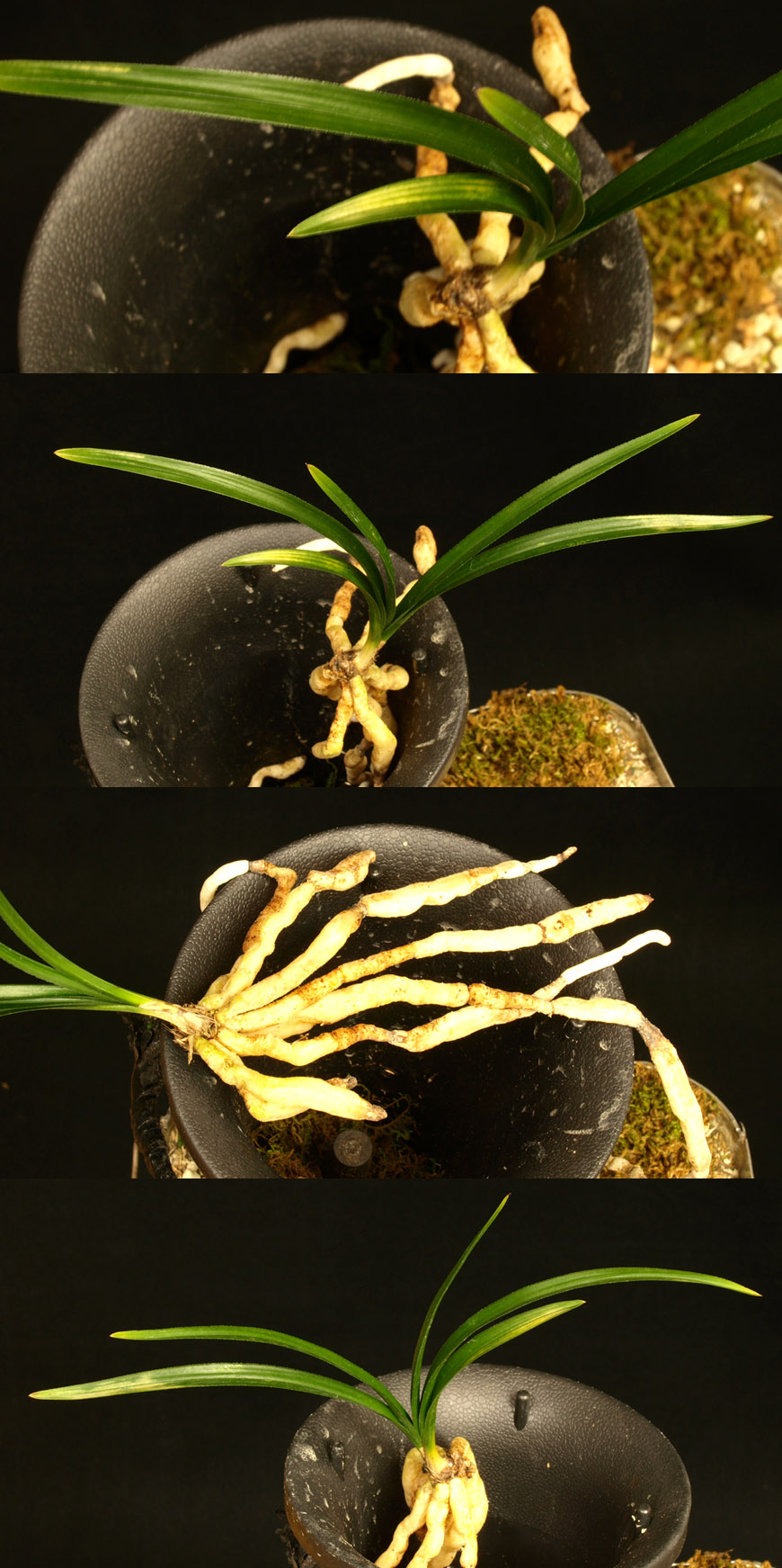 ������ ū������ �� �� �ֽ��ϴ�.