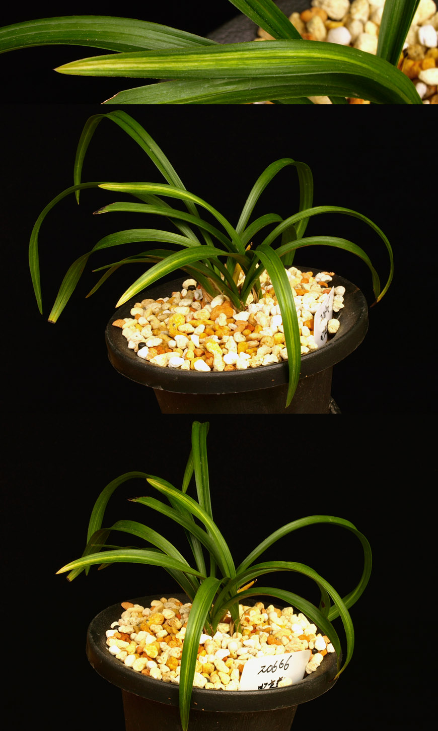 ������ ū������ �� �� �ֽ��ϴ�.