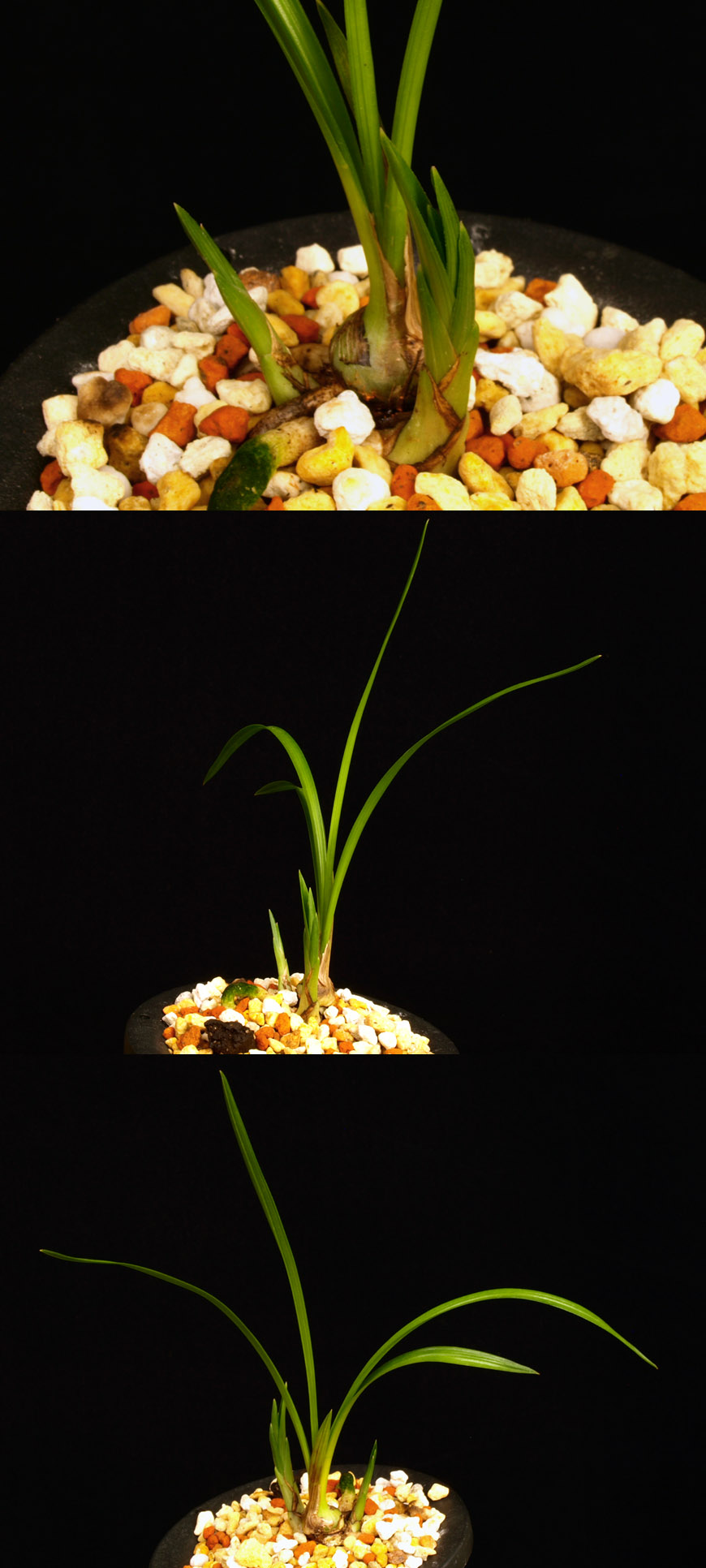 ������ ū������ �� �� �ֽ��ϴ�.