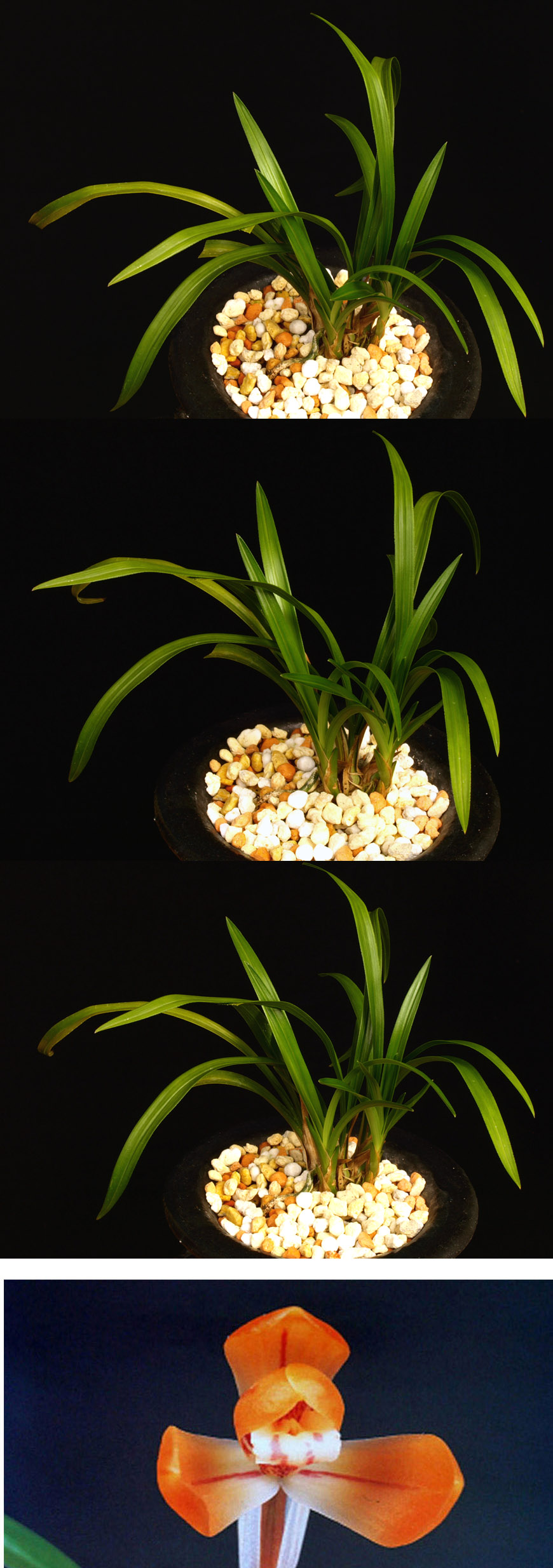 ������ ū������ �� �� �ֽ��ϴ�.