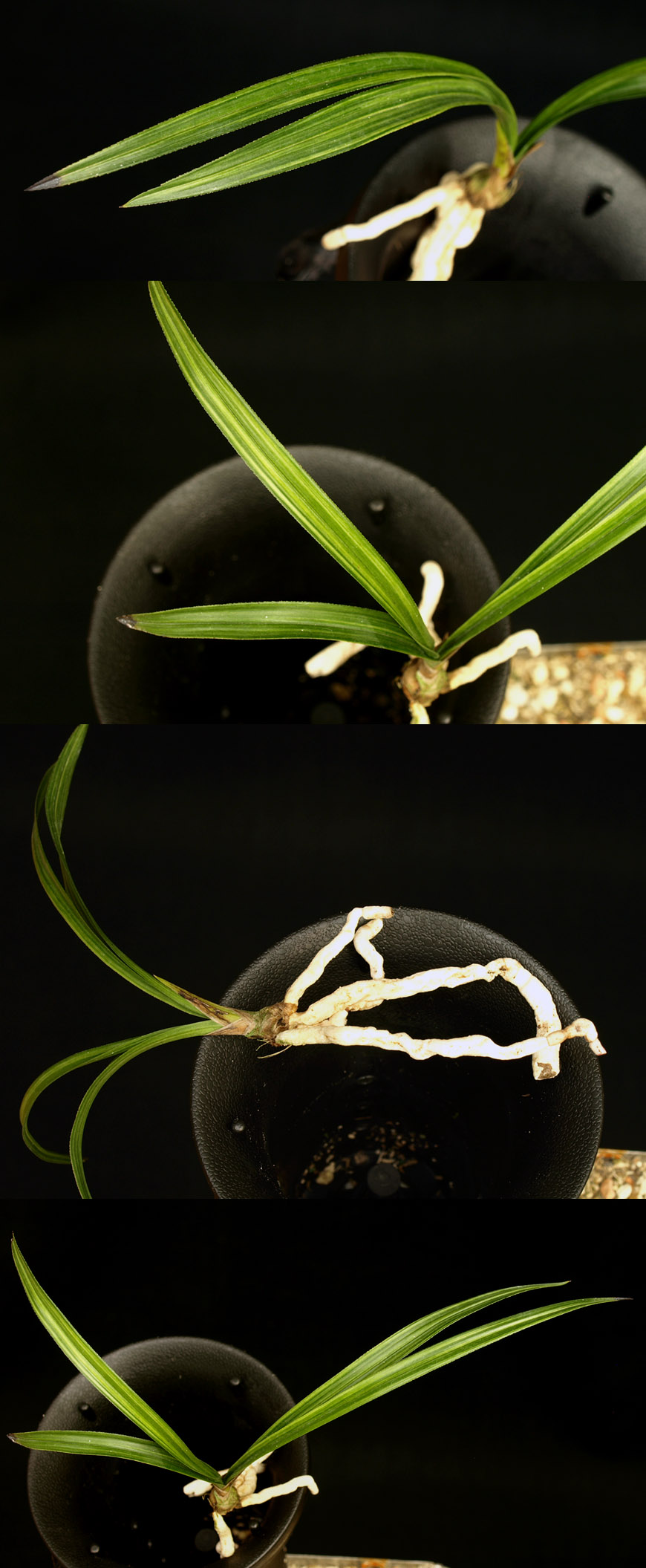 ������ ū������ �� �� �ֽ��ϴ�.