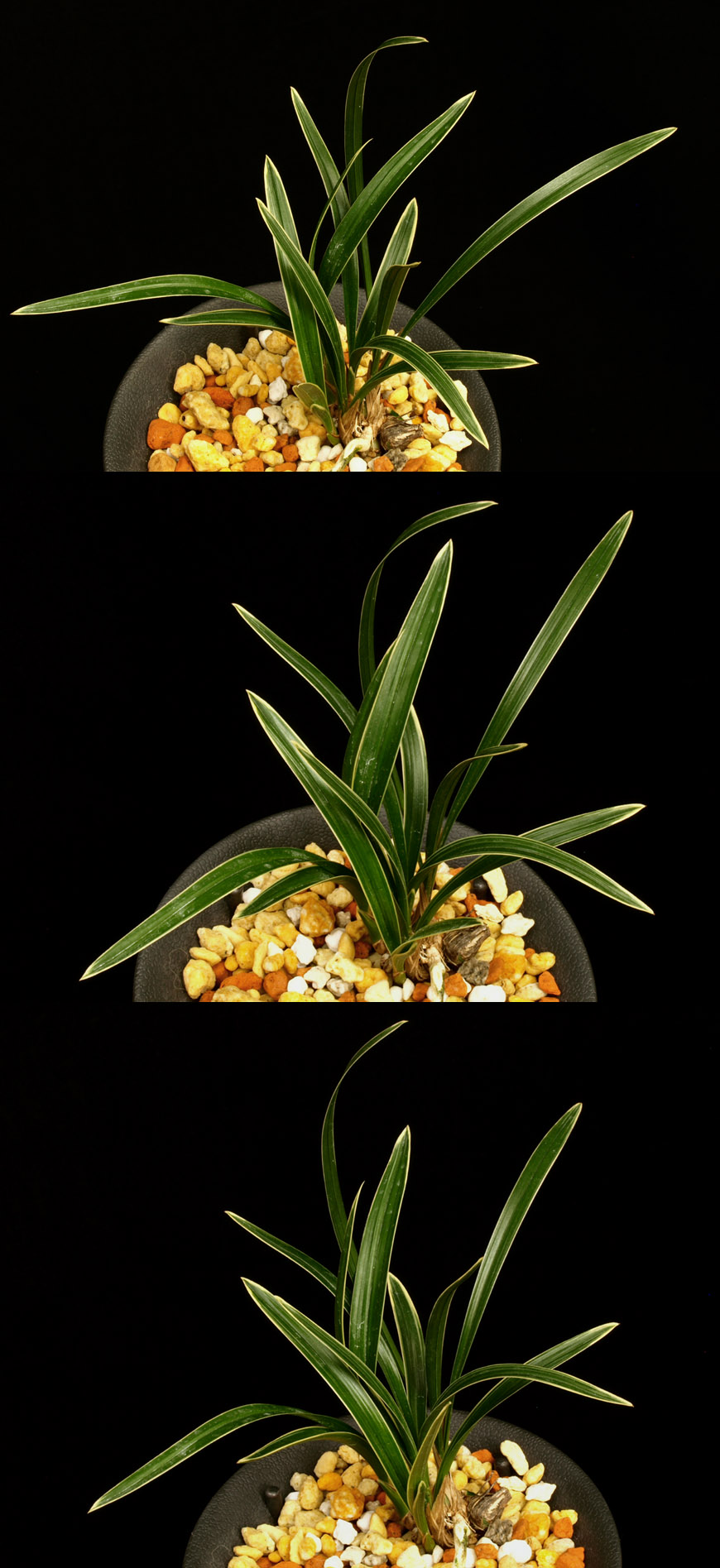 ������ ū������ �� �� �ֽ��ϴ�.