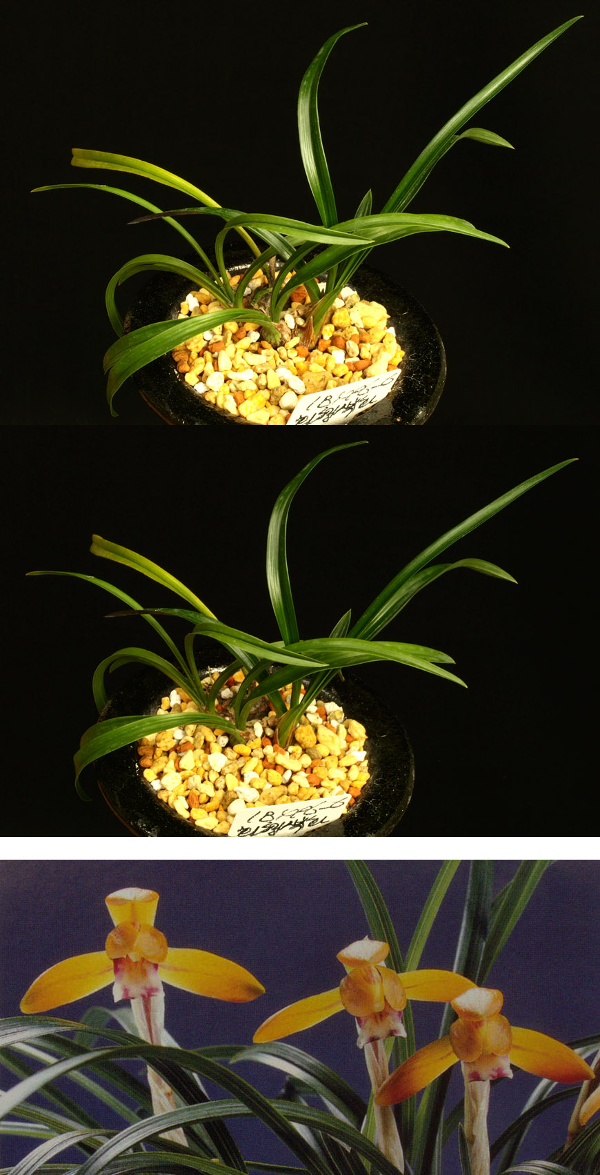 ������ ū������ �� �� �ֽ��ϴ�.