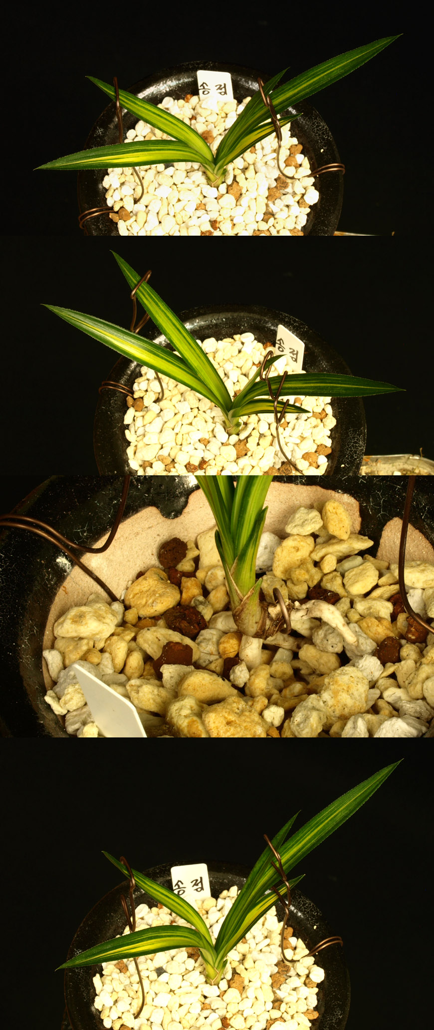 ������ ū������ �� �� �ֽ��ϴ�.