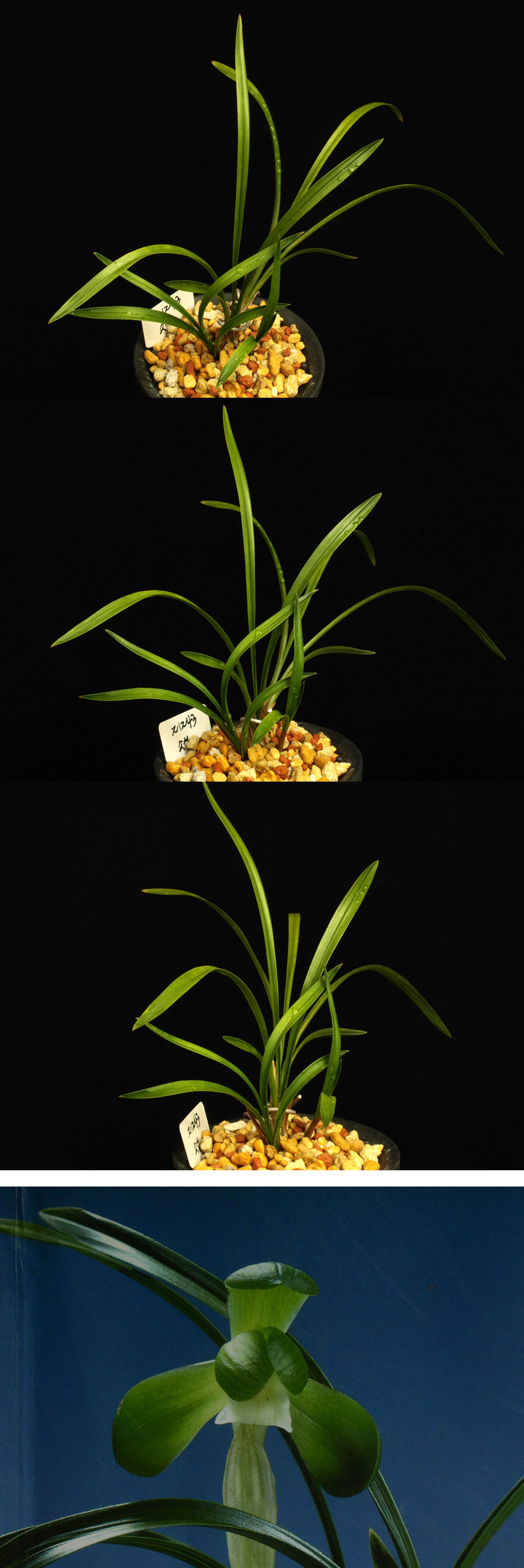 ������ ū������ �� �� �ֽ��ϴ�.