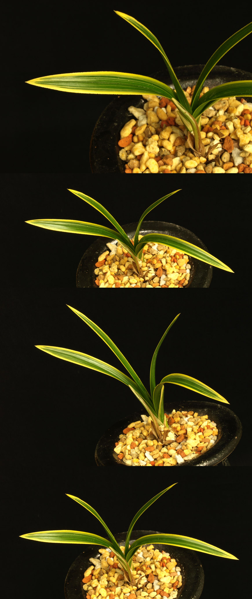 ������ ū������ �� �� �ֽ��ϴ�.