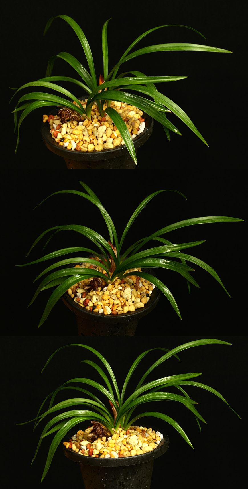 ������ ū������ �� �� �ֽ��ϴ�.