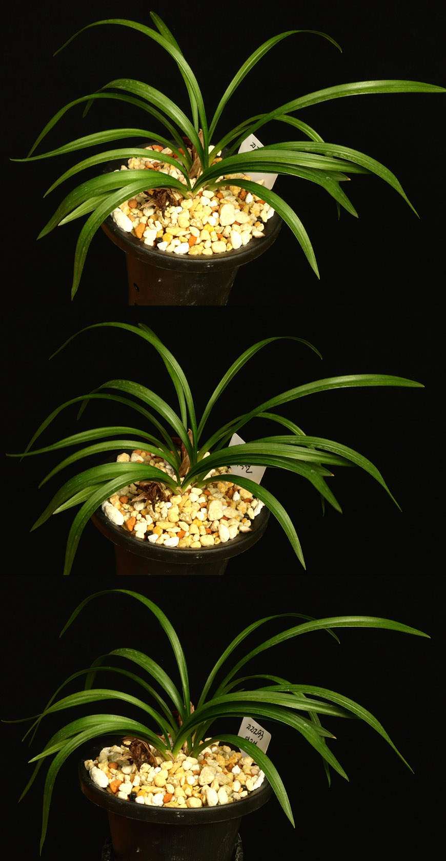 ������ ū������ �� �� �ֽ��ϴ�.