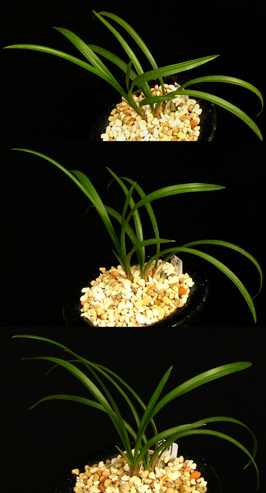 ������ ū������ �� �� �ֽ��ϴ�.