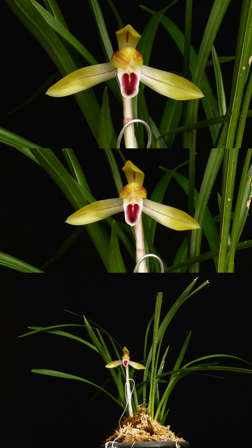 ������ ū������ �� �� �ֽ��ϴ�.