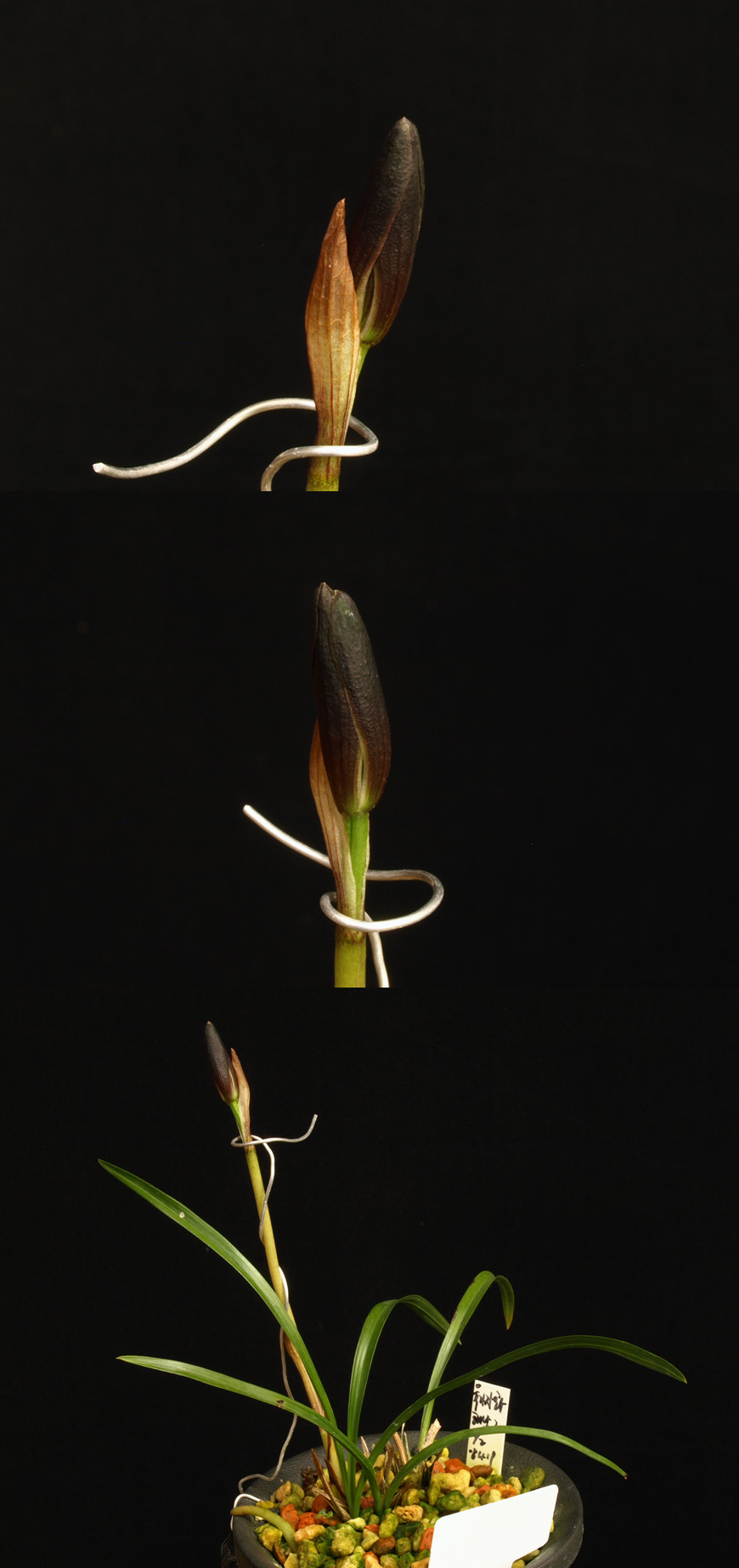 ������ ū������ �� �� �ֽ��ϴ�.