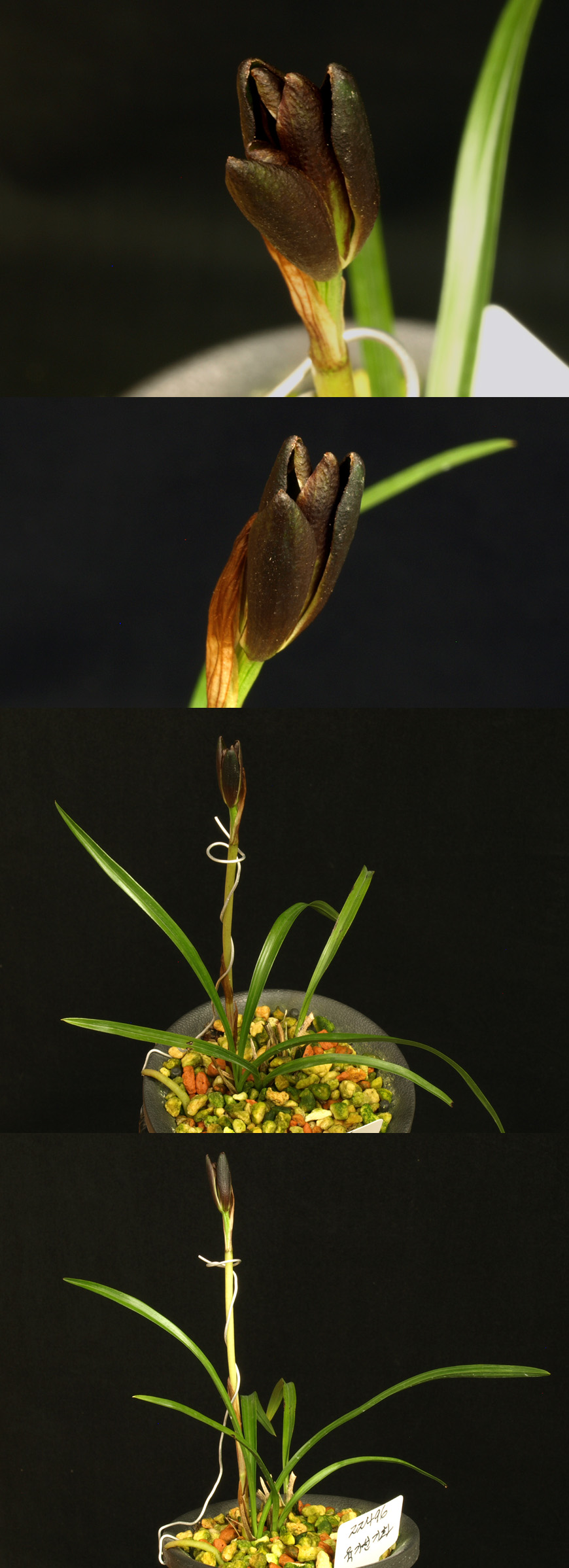 ������ ū������ �� �� �ֽ��ϴ�.