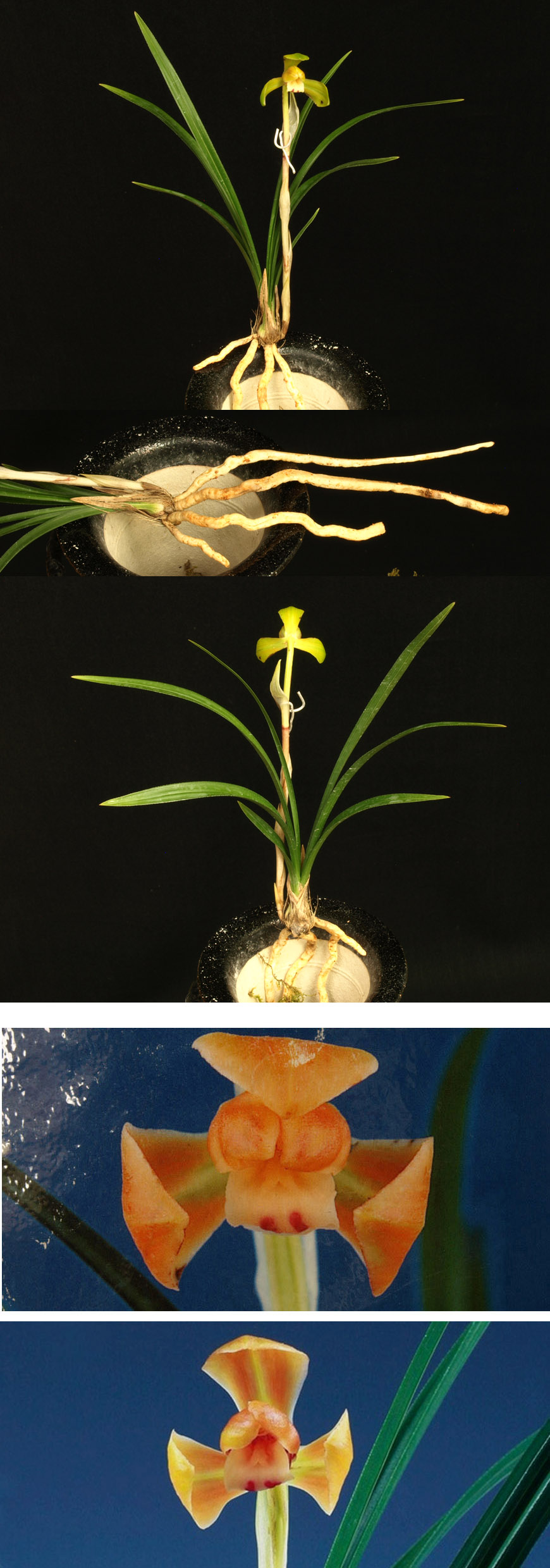 ������ ū������ �� �� �ֽ��ϴ�.