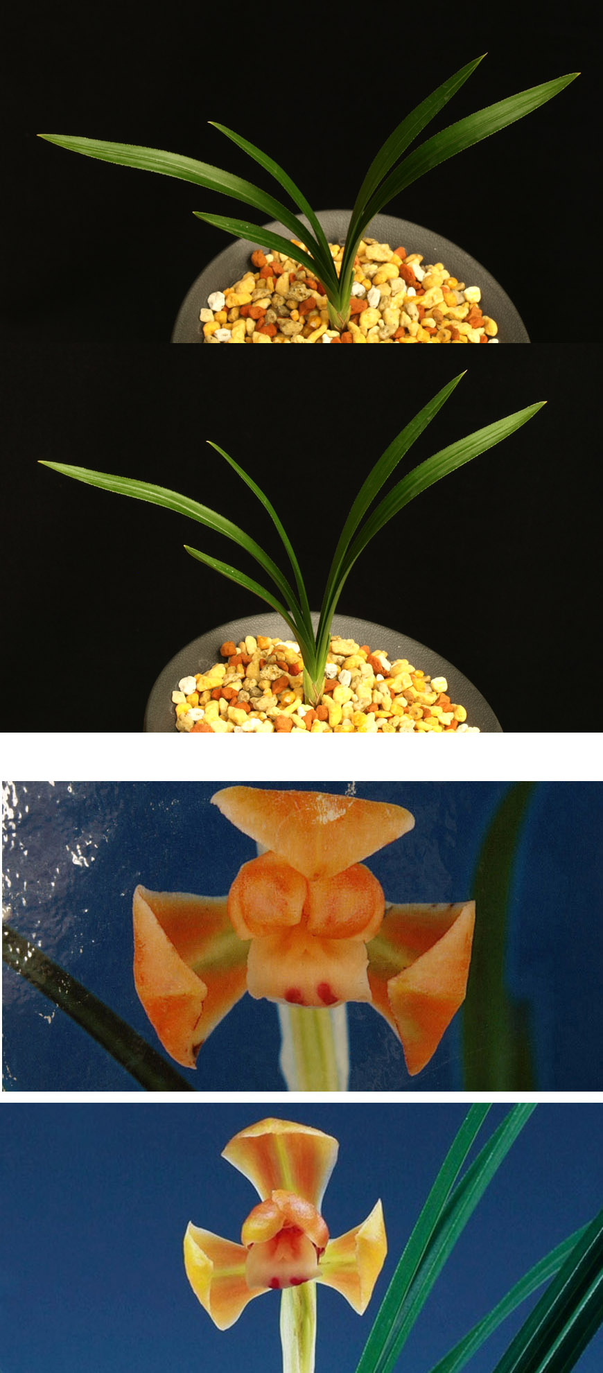 ������ ū������ �� �� �ֽ��ϴ�.