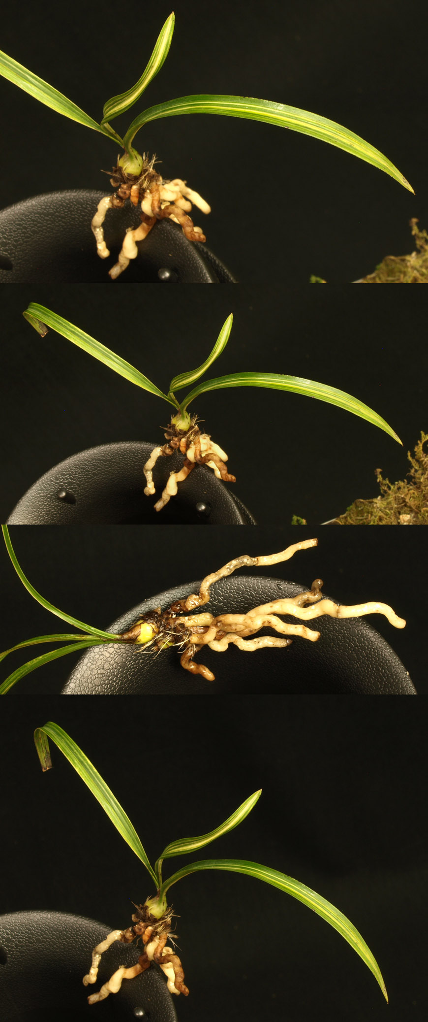 ������ ū������ �� �� �ֽ��ϴ�.