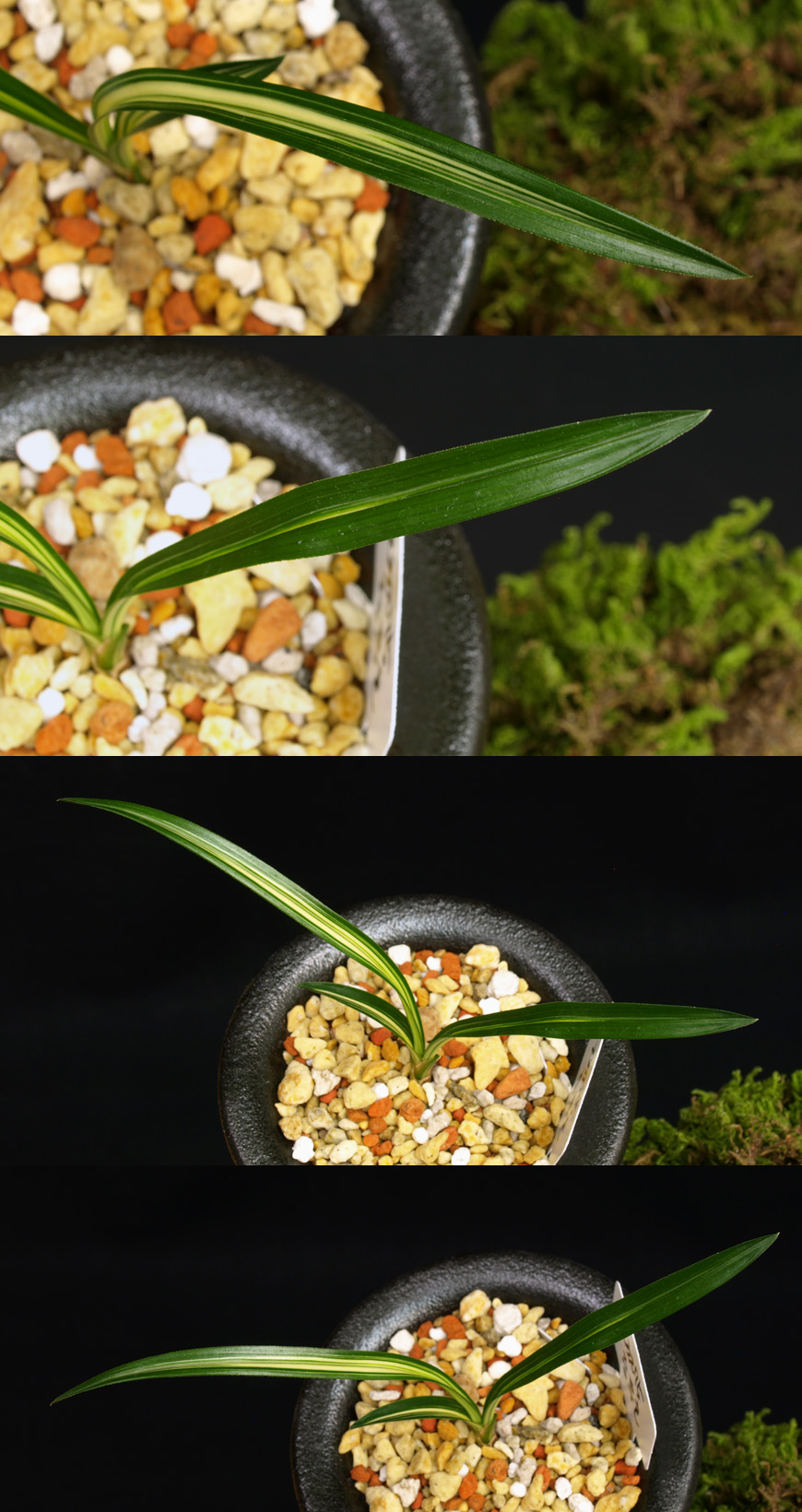 ������ ū������ �� �� �ֽ��ϴ�.