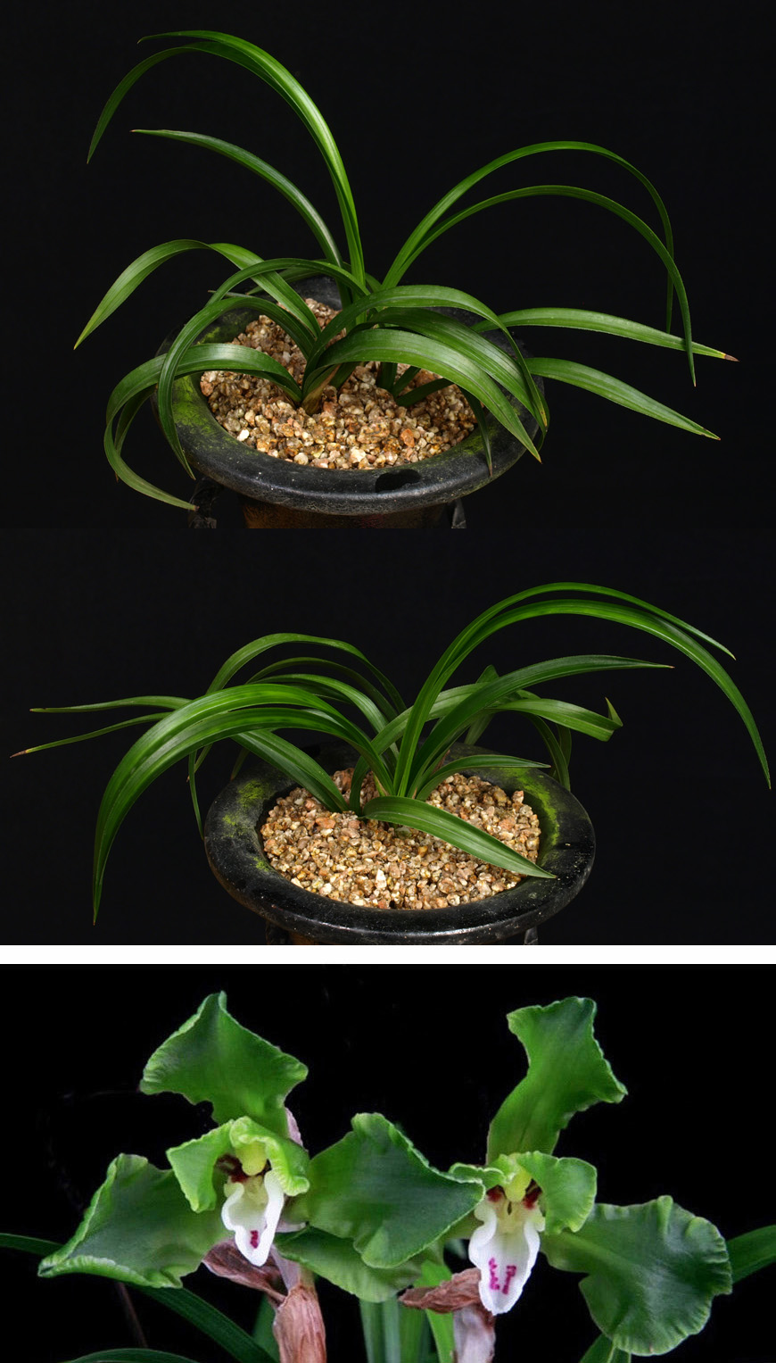 ������ ū������ �� �� �ֽ��ϴ�.