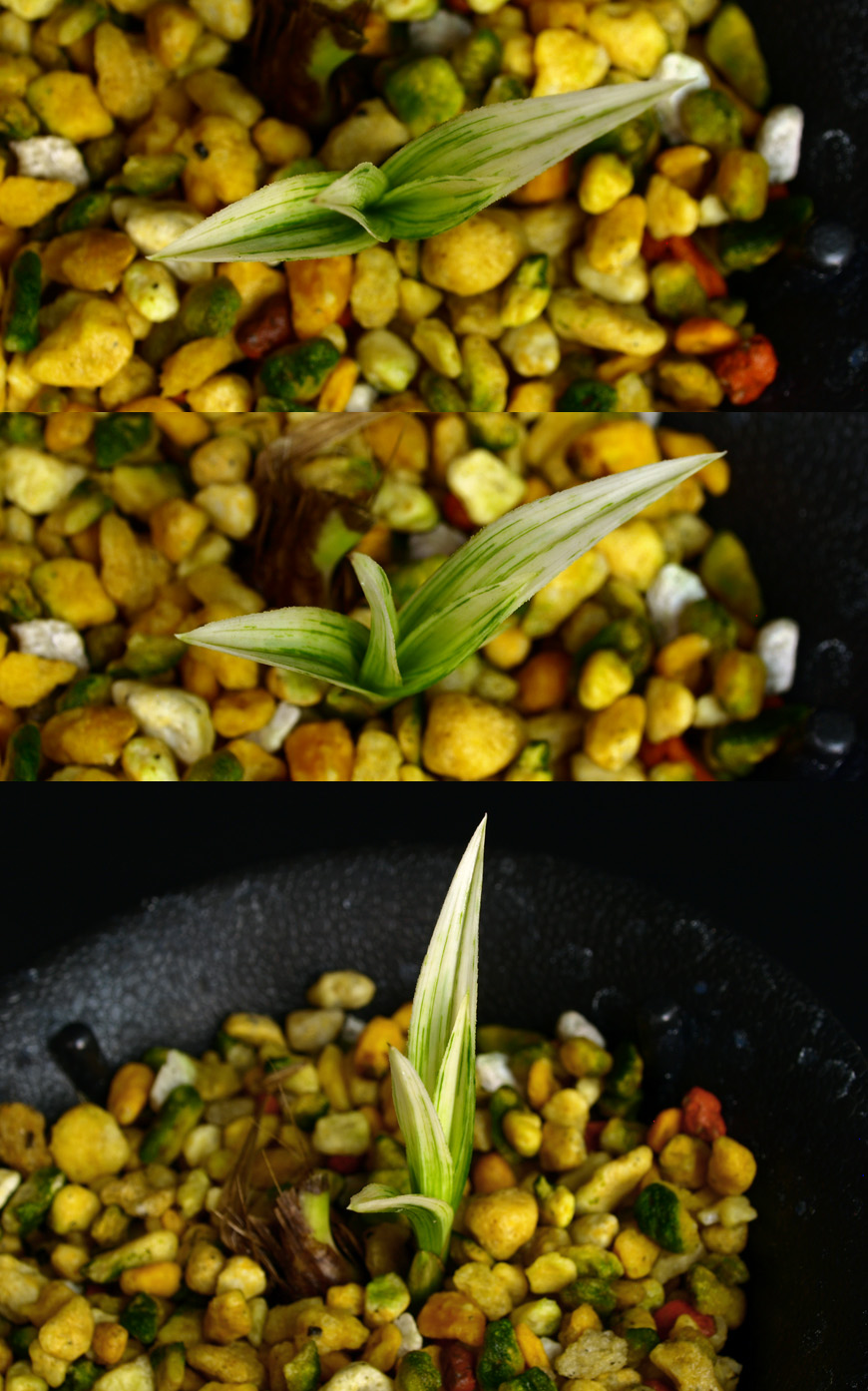 ������ ū������ �� �� �ֽ��ϴ�.