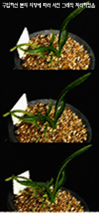 ������ ū������ �� �� �ֽ��ϴ�.